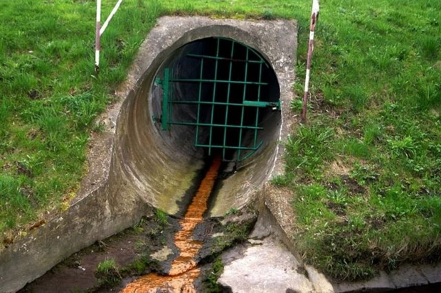 Sewage Cleanup