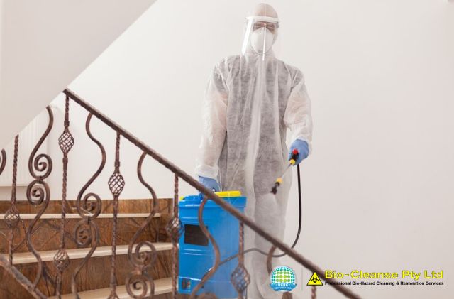 How professional biohazard cleanup specialists can help.