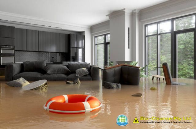 Steps to take after water damage